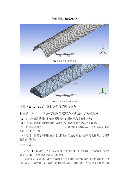 管道流固耦合的网格划分