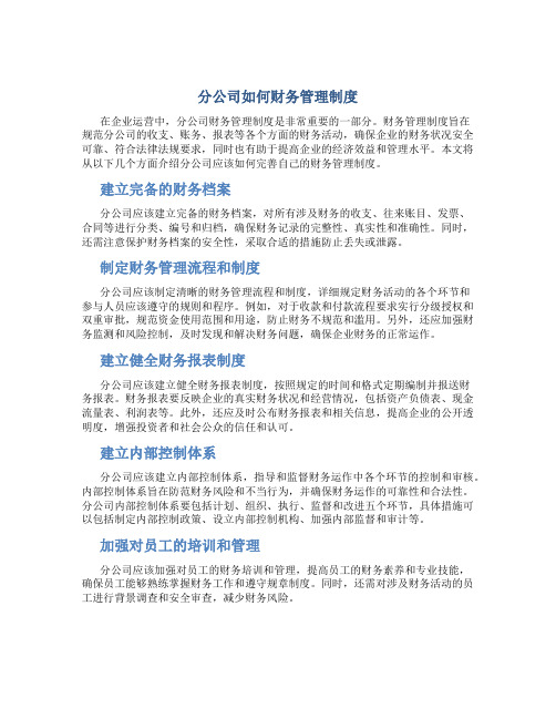 分公司如何财务管理制度