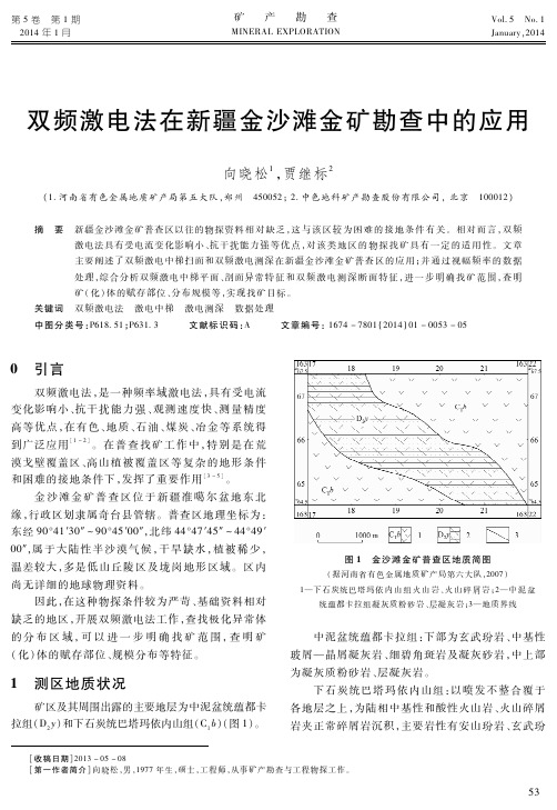 双频激电法在新疆金沙滩金矿勘查中的应用