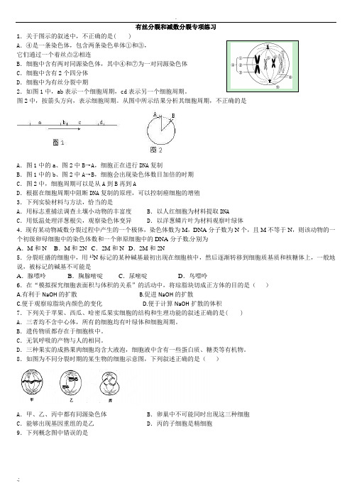 有丝分裂和减数分裂专项练习及解析教师