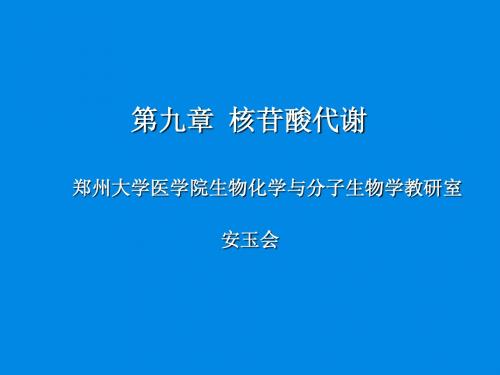 第九章 核苷酸代谢