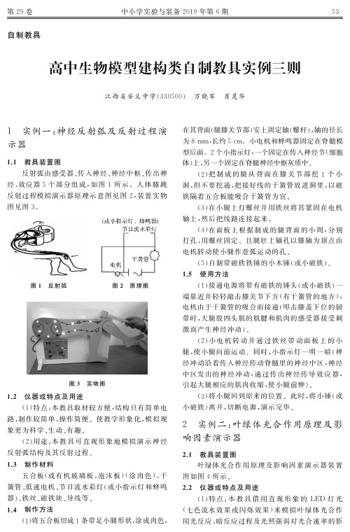 高中生物模型建构类自制教具实例三则