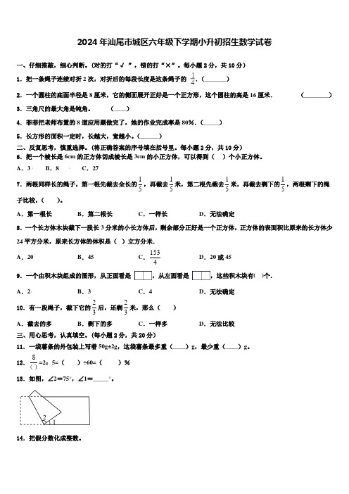 2024年汕尾市城区六年级下学期小升初招生数学试卷含解析