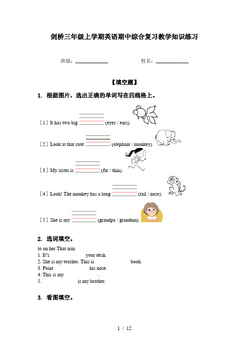 剑桥三年级上学期英语期中综合复习教学知识练习