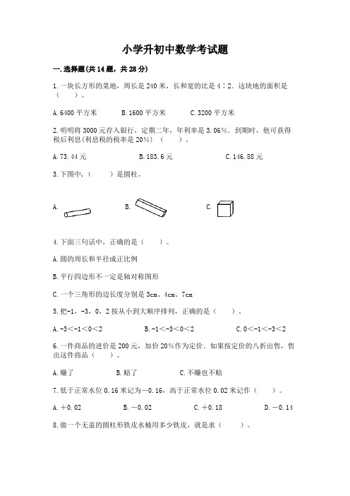 小学升初中数学考试题及答案(真题汇编)