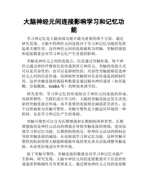 大脑神经元间连接影响学习和记忆功能