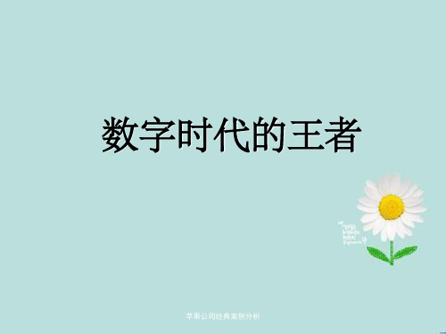 苹果公司经典案例分析