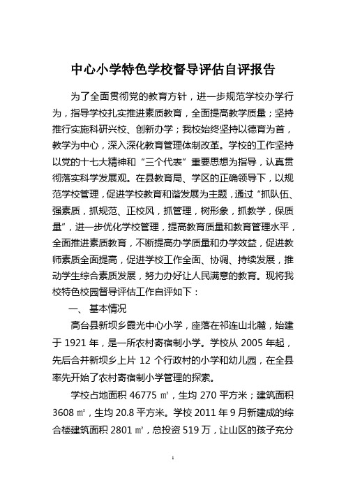 中心小学综合督导评估自评报告