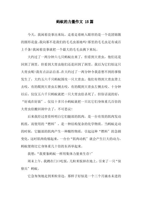 蚂蚁的力量作文 15篇精选