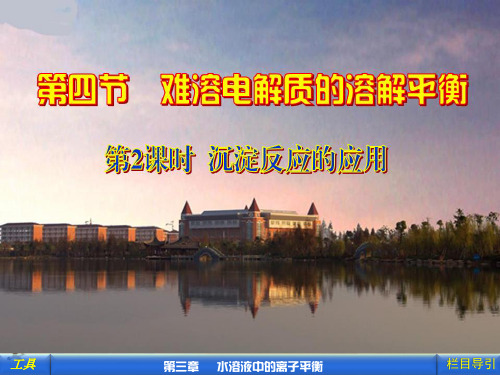 选修4化学人民教育出版社(课标)3.4.2 沉淀反应的应用教学课件