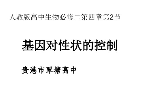 人教版高中生物必修二课件：4.2基因对性状的控制 (共31页)