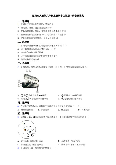 辽阳市人教版八年级上册期中生物期中试卷及答案