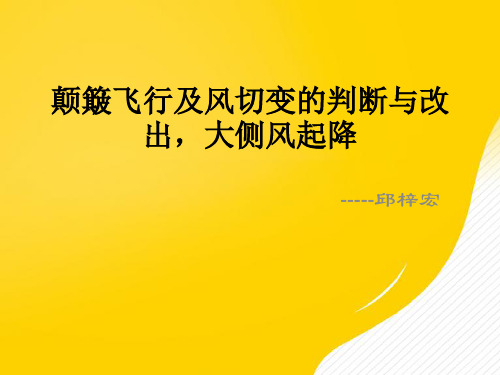 【推荐】颠簸飞行及风切变的判断与改出,大侧风起降PPT资料