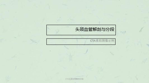 CTA头颈血管解剖分段课件