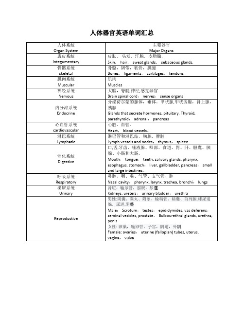 人体器官英语单词汇总