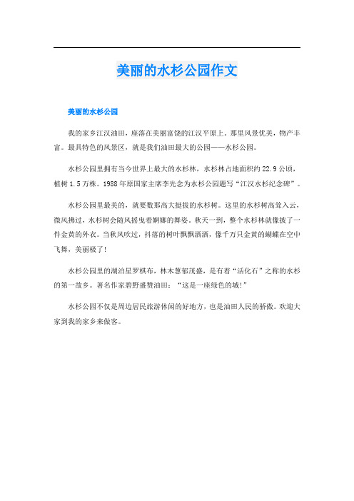 美丽的水杉公园作文(4)