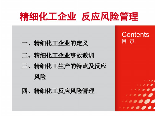 精细化工企业 反应风险管理 教学PPT课件