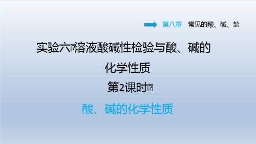 2021春科学版九年级化学下册课件 第8章 实验六 第2课时 酸、碱的化学性质