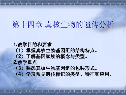 掌握真核生物基因组的结构特点