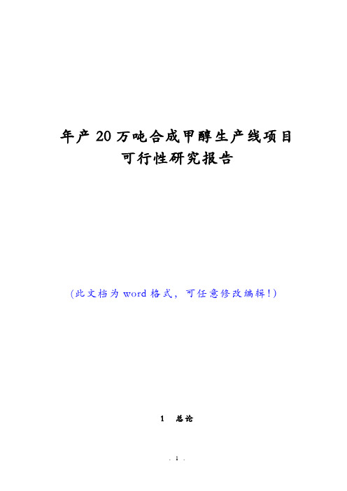 年产20万吨合成甲醇生产线项目可行性研究报告(经典版)