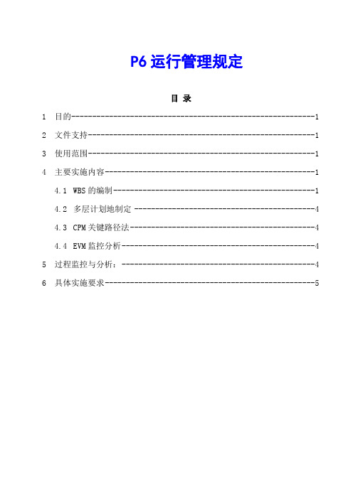 项目P6运行管理规定