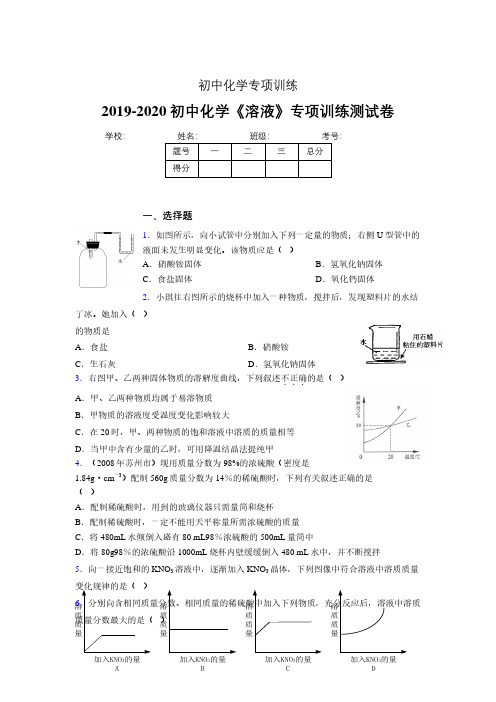 (中考)《溶液》专项训练模拟测试(含答案) (338)