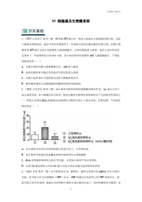 人教版2024年高考一轮复习生物《05 细胞器及生物膜系统》分层训练