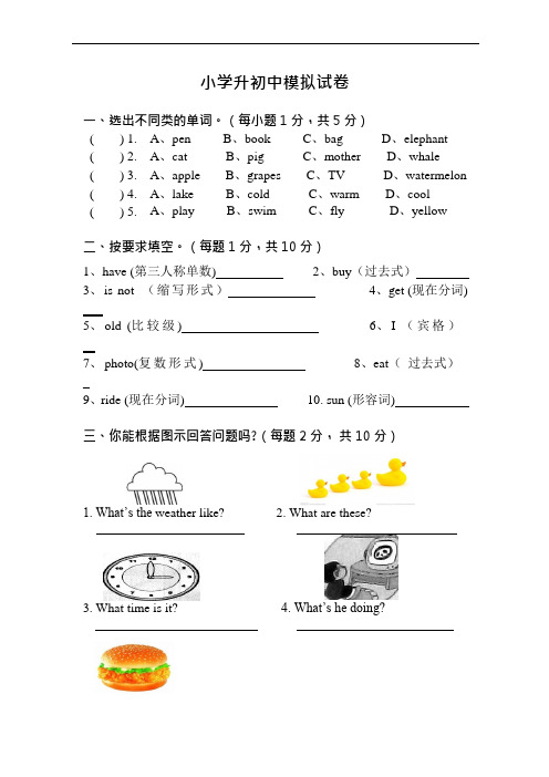 (完整版)小升初英语试卷(可编辑修改word版)