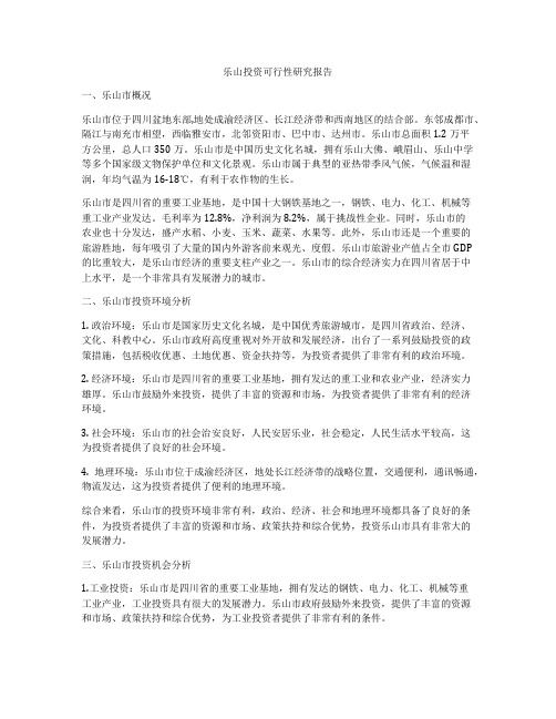 乐山投资可行性研究报告