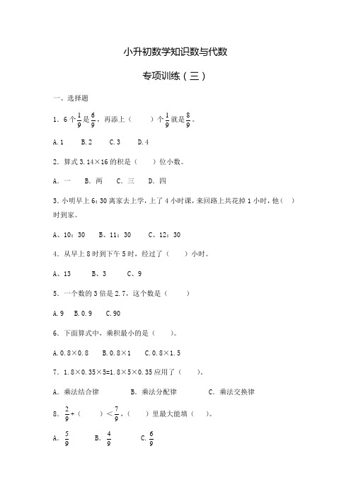 六年级下册数学试题-2019小升初数学数与代数专项训练人教新课标含答案解析