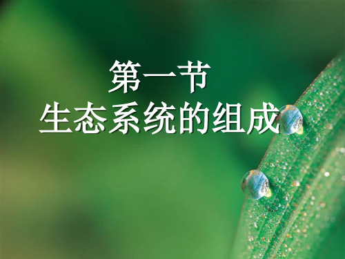 初中生物苏教版八年级上册第一节 生态系统的组成