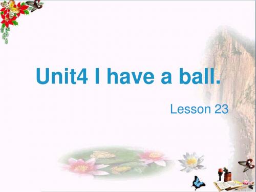 三年级英语上册Unit4Ihaveaball(Lesson23)教学PPT课件人教精通版