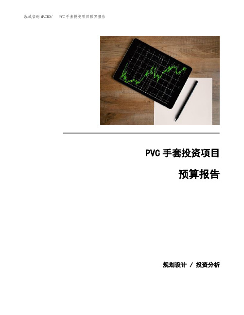 PVC手套投资项目预算报告