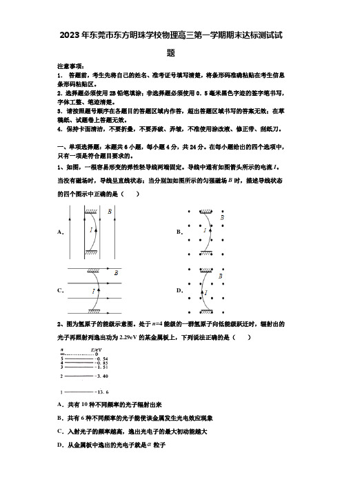 2023年东莞市东方明珠学校物理高三第一学期期末达标测试试题含解析