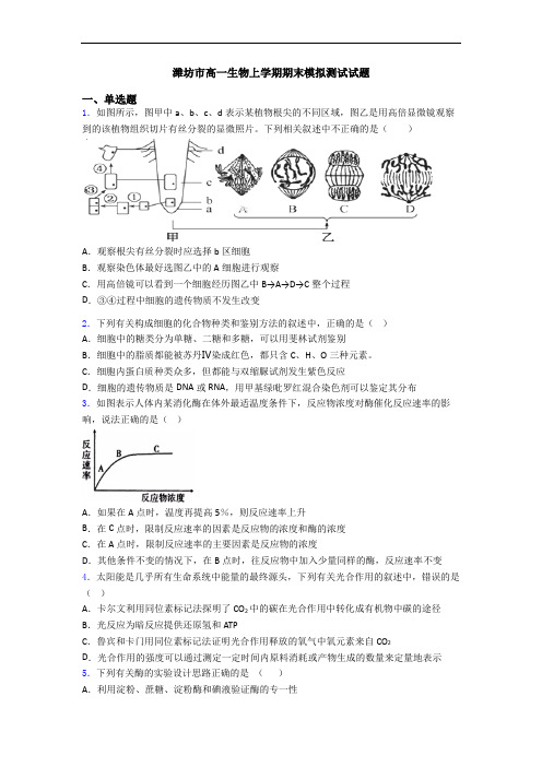 潍坊市高一生物上学期期末模拟测试试题