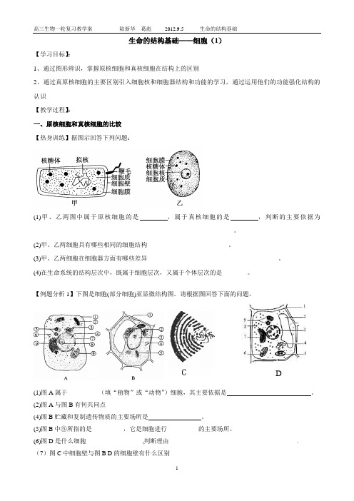 细胞的结构