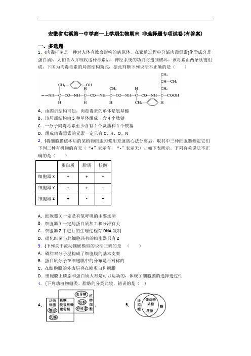 安徽省屯溪第一中学高一上学期生物期末 非选择题专项试卷(有答案)