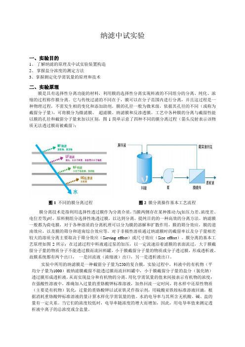 纳滤中试实验