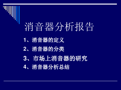 消音器分析报告