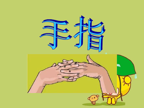 《手指》精品 课件