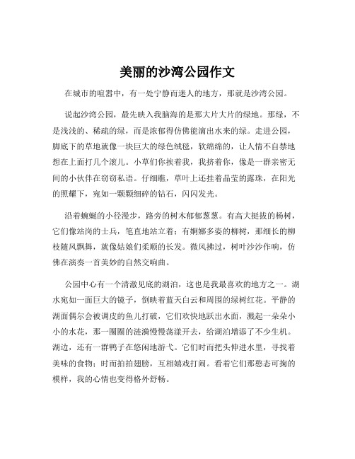 美丽的沙湾公园作文