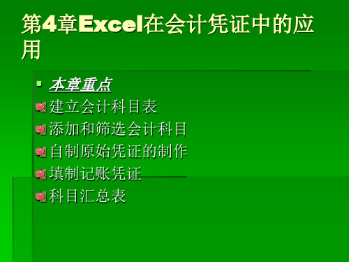 《Excel在会计信息处理中的应用》第4章：Excel在会计凭证中的应用