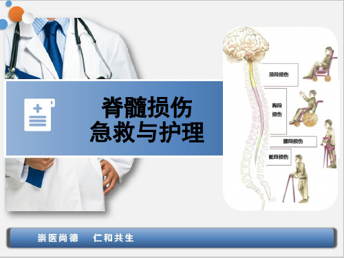 脊髓损伤的急救与护理