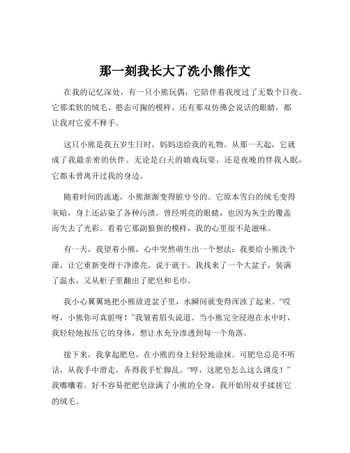 那一刻我长大了洗小熊作文