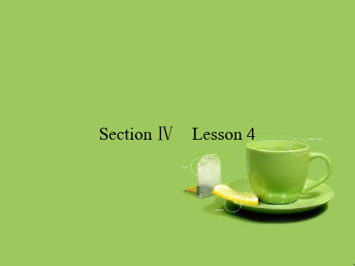 高中英语Unit13PeopleSectionⅣLesson4课件