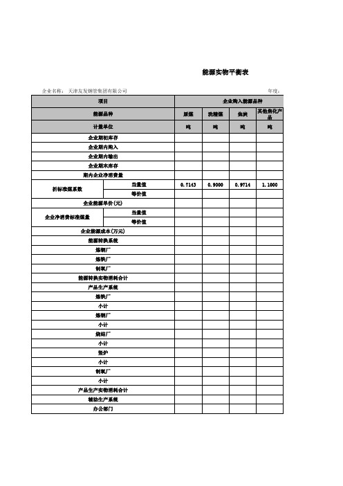 能源实物平衡表