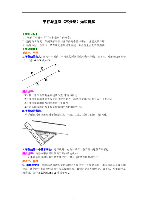 2020年七年级数 平行与垂直(不分层)知识讲解