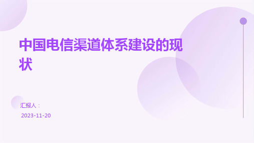 中国电信渠道体系建设的现状