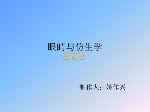 眼睛与仿生学