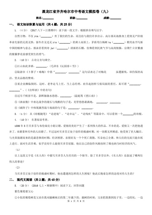 黑龙江省齐齐哈尔市中考语文模拟卷(九)